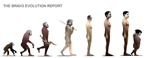 humans